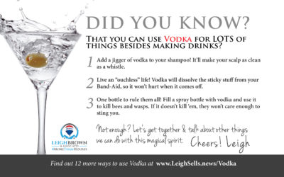 What Can You Do With Vodka Besides Drink It?