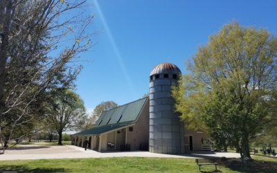 What Is Your Favorite Memory From The Barn?