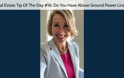 Real Estate Tip Of The Day #16:  Do You Have Above Ground Power Lines?