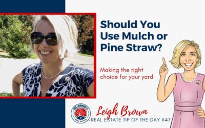 Real Estate Tip Of The Day #47-Should You Use Mulch or Pine Straw?