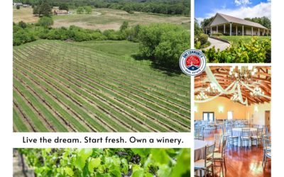 Live The Dream – Established Profitable Vineyard, Winery & Retail Business For Sale