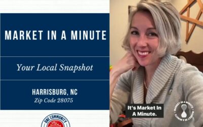 Market in A Minute – Harrisburg, NC – Zip Code 28075