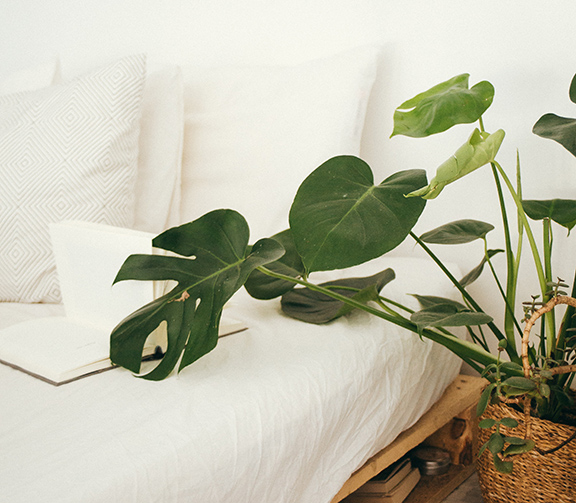 How to Turn Your Home Into a Healthy Space
