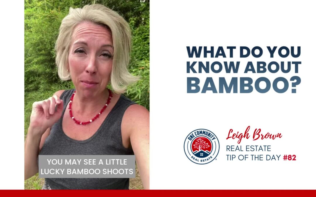 Real Estate Tip of the Day #82 – Watch Out For The Bamboo